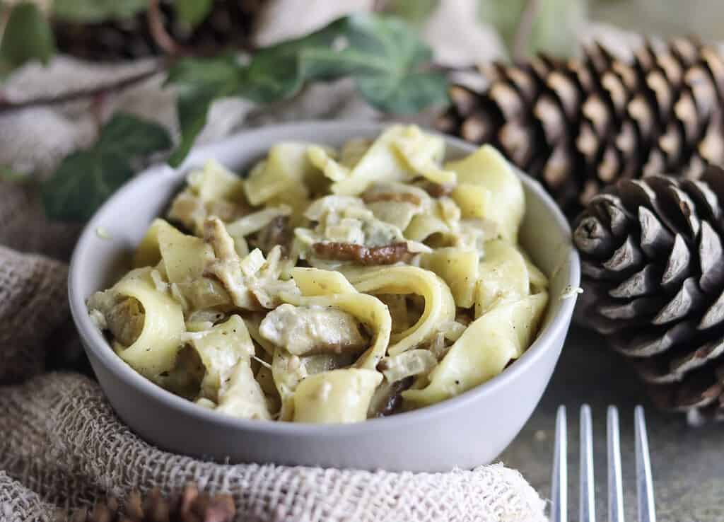 tagliatelle ai funghi porcini sauce